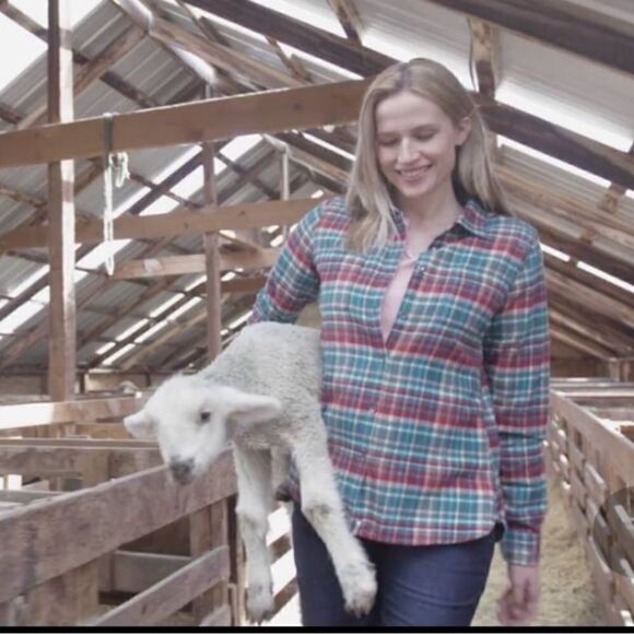 𝅺WOOLRICH Sz small S pemberton flannel shirt button down plaid - Picture 1 of 10